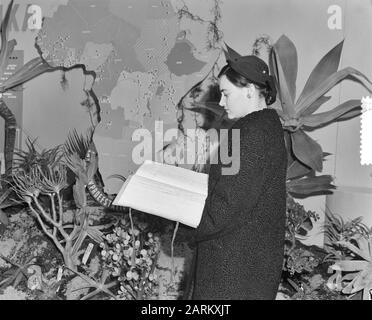 Exposition Afrique du Sud 300 ans au Tropenmuseum à Amsterdam. Lettre de Jan van Riebeeck de l'année 1656 à l'Heren Zeventien avec la demande d'augmentation des salaires. Son salaire annuel a triché sur plm 70,00 et il voulait voir cette augmentation à fl 85, -. Toutefois, l'augmentation a été refusée. La lettre est admirée à l'exposition. Sur la feuille se trouve la signature de Jan van Riebeeck Date visible : 27 mars 1952 lieu : Amsterdam, Noord-Holland mots clés : Archives, documents, histoire, expositions Banque D'Images