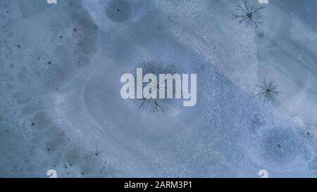 Ce que l'on appelle des trous de vapeur dans la surface de glace d'un lac gelé causés par la convection dans l'eau, Swabia, Bavière, Allemagne, Europe Banque D'Images