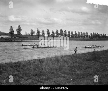 Varsity sur le canal d'Amsterdam-Rhin à Jutphaas Date : 3 mai 1959 mots clés : aviron Banque D'Images