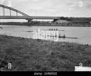 Varsity sur le canal d'Amsterdam-Rhin à Jutphaas Date : 3 mai 1959 mots clés : aviron Banque D'Images