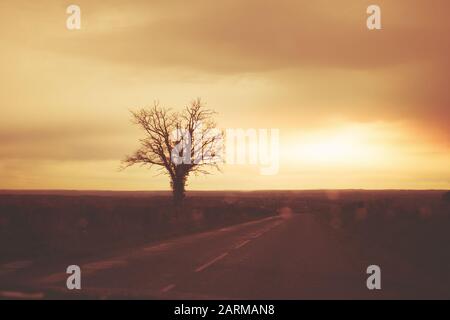 Route de campagne au début de l'automne matin. Silhouette d'arbres contre un ciel spectaculaire. Vue sur le pare-brise humide Banque D'Images