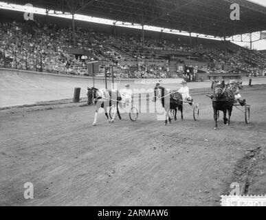 Fête de fermeture dans le stade olympique, pony club de vier Heemskinderen Date : 22 août 1959 Banque D'Images