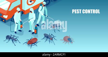 Vecteur d'une équipe de professionnels de lutte antiparasitaire exterminant les insectes Illustration de Vecteur