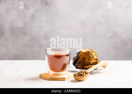 Thé de guérison à base de champignons de bouleau chaga dans une tasse de verre. Alcool organique antioxydant fond gris. Le concept de nutrition saine et de style de vie. Hori Banque D'Images