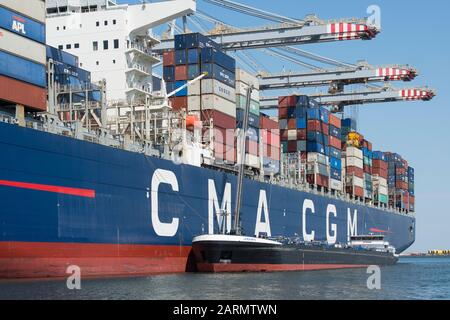 Rotterdam, Pays-Bas - 30 juillet 3019 : Jules Verne un explorateur class container ship construit par CMA CGM et est l'un des plus grands porte-conteneurs dans Banque D'Images