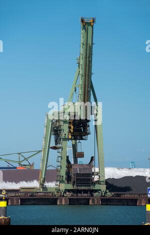 Pays-Bas, Rotterdam - 30 juillet 2019; terminal du charbon avec de grandes grues industrielles pour la manutention du transport du charbon sur le Maasvlakte dans le port de Rott Banque D'Images