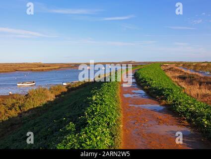 Vue sur le sentier de la côte de Norfolk par Overy Creek, dans le nord de Norfolk, à Burnham Overy Staithe, Norfolk, Angleterre, Royaume-Uni, Europe. Banque D'Images