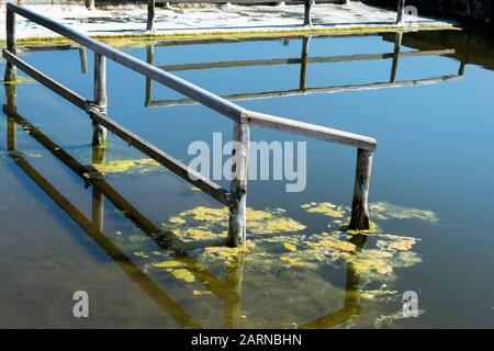 Algues croissant dans la salina, Aveiro, Beira littoral, Portugal Banque D'Images