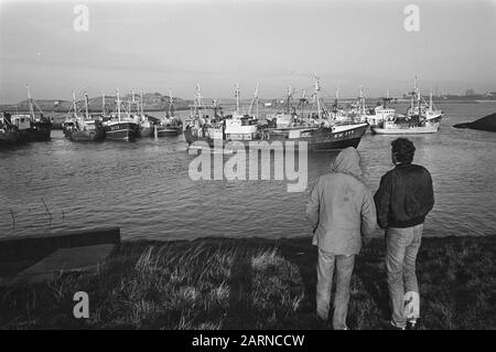 Les pêcheurs bloquent les ports de Lauwersooog et d'IJmuiden pour protester contre l'interdiction de la pêche à la morue Date : 3 décembre 1984 lieu : IJmuiden mots clés : ports, protestations, pêcheurs Banque D'Images