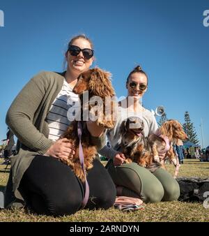 Illawarra, Australie - 20 mai 2018 : les amoureux de chiens et leurs chiens marchent sur les rives du Million annuel de Paws Walk pour lever de l'argent pour la RSPCA. Banque D'Images