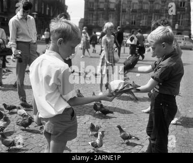 Enfants alimentant des pigeons au barrage Date : 19 août 1965 mots clés : DIVEN, enfants Banque D'Images