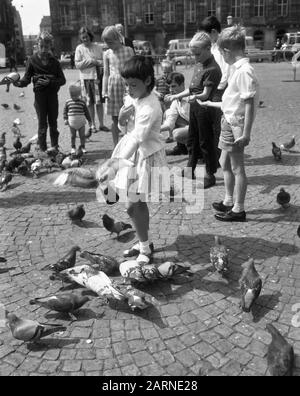 Enfants alimentant des pigeons au barrage Date : 19 août 1965 mots clés : DIVEN, enfants Banque D'Images