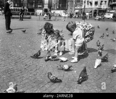 Enfants alimentant des pigeons au barrage Date : 19 août 1965 mots clés : DIVEN, enfants Banque D'Images