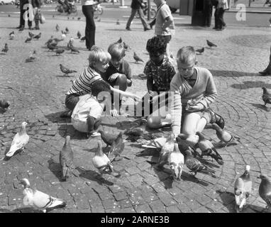 Enfants alimentant des pigeons au barrage Date : 19 août 1965 mots clés : DIVEN, enfants Banque D'Images