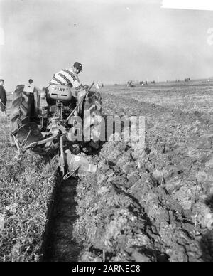 L'équipe nationale se réunit en 1965 à Swifterbant H. Ardon de Kloetinge (Zeeland) en action Date: 26 octobre 1965 lieu: Flevoland, Swifterbant mots clés: Arable, labour, agriculture, outils agricoles, tracteurs, concours Nom personnel: #H. Ardon, Ardon, H. Banque D'Images