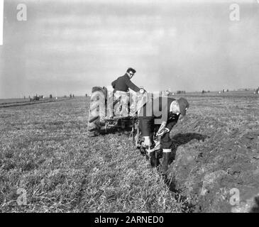 L'équipe nationale s'associe 1965 à des juges Swifterbant qui travaillent à mesurer la profondeur des sillons Date: 26 octobre 1965 lieu: Flevoland, Swifterbant mots clés: Arable, labour, agriculture, outils agricoles, tracteurs, concours Banque D'Images