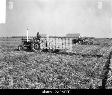 L'équipe nationale s'associe 1965 à Swifterbant Tractors équipés d'équipes pendant le match Date: 26 octobre 1965 lieu: Flevoland, Swifterbant mots clés: Arable, culture, outils agricoles, tracteurs, concours Banque D'Images