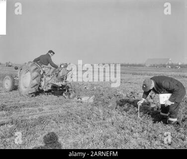 L'équipe nationale s'associe 1965 aux membres du jury de Swifterbant qui travaillent à mesurer la profondeur des sillons Date: 26 octobre 1965 lieu: Flevoland, Swifterbant mots clés: Arable, culture, outils agricoles, tracteurs, concours Banque D'Images