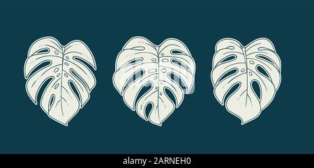 Les feuilles des plantes Monstera ensemble de trois monochromes isolés de l'intérieur moderne poster vector illustration Illustration de Vecteur