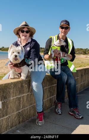 Illawarra, Australie - 20 mai 2018 : les amoureux de chiens et leurs chiens marchent sur les rives du Million annuel de Paws Walk pour lever de l'argent pour la RSPCA. Banque D'Images