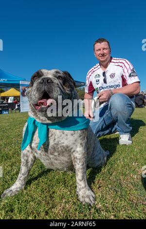 Illawarra, Australie - 20 mai 2018 : les amoureux de chiens et leurs chiens marchent sur les rives du Million annuel de Paws Walk pour lever de l'argent pour la RSPCA. Banque D'Images