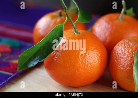 Vue latérale sur les oranges mandarines mûres fraîches en gros plan, sur une table en bois avec un tissu de table violet coloré, avec un espace publicitaire. Réticulata d'agrumes Banque D'Images