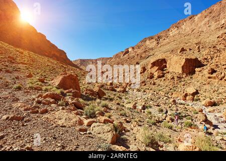 La gorge de Todgha ou les gorges du Toudra est un canyon situé dans les montagnes du Haut Atlas, près de la ville de Tinerhir, au Maroc Banque D'Images