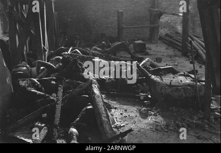 [DLC} Chinois Brûlé/Malang Dans la rue Gadang à Malang (Java est) 21 Chinois - après avoir été maltraités - sont enfermés dans une boucherie. Le bâtiment a alors été incendié, donc les Chinois ont été tués dans les flammes. L'auteur principal de ce crime odieux est une certaine Lasmoe, qui, par sa méthode d'intimidation de la population, s'est sentie si sûre qu'il a été laissé à Malang lorsque les troupes néerlandaises ont occupé cette ville. En direction de la population, il a été emprisonné pour ne pas pouvoir échapper à sa justice Date: 24 juillet 1947 lieu: Indonésie, Malang, Antilles néerlandaises de l'est Banque D'Images