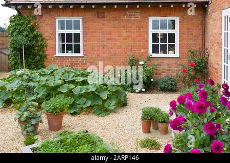 Jardin de légumes d'une maison victorienne en Angleterre Banque D'Images