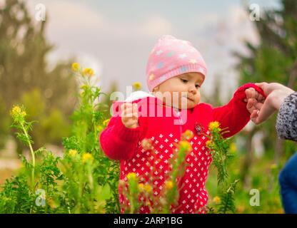 une jolie petite fille dans une tenue rose dans le champ floral dans le parc plein de fleurs jaunes au printemps. Banque D'Images