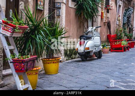 Plantes vertes sur une rue étroite sur l'île d'Ortygie, partie historique de la ville de Syracuse, l'angle sud-est de l'île de la Sicile, Italie Banque D'Images