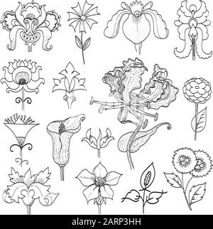 Fleurs botaniques florales Flax vectorielles. Encre gravée en noir et blanc. Élément d'illustration de lin isolé sur fond blanc. Illustration de Vecteur