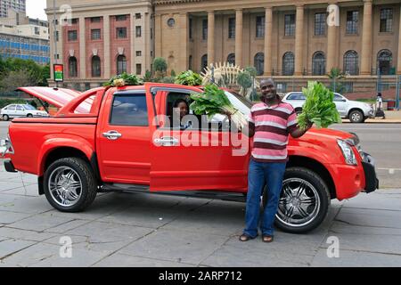 Bakkie rouge avec des faucons de rue dans le TI Ditsong Musée national d'Histoire naturelle anciennement le Musée Transvaal, place Pretorius, Pretoria/Tshwane Cent Banque D'Images