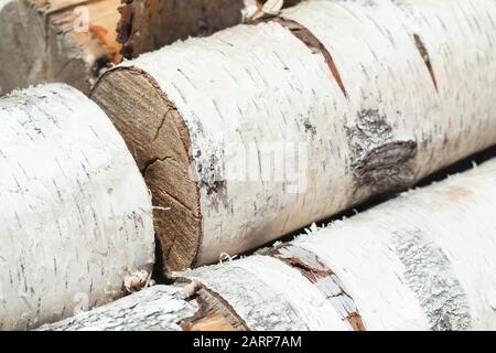 Pile de bois de chauffage. Cales empilées en bouleau, gros plan avec mise au point sélective Banque D'Images