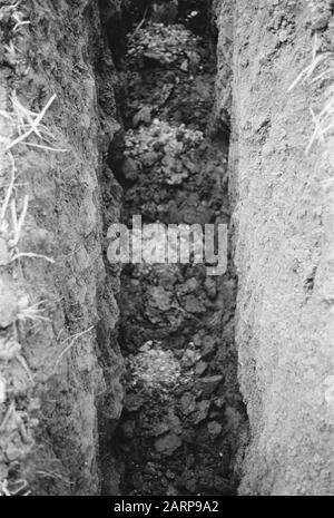 Date de l'emplacement : mots-clés non associés : emplacements Banque D'Images