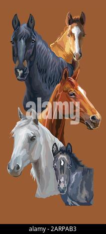 Carte postale verticale avec chevaux. Portraits réalistes vectoriels colorés de chevaux. Groupe de chevaux isolés sur fond brun. Illustrati coloré vectoriel Illustration de Vecteur