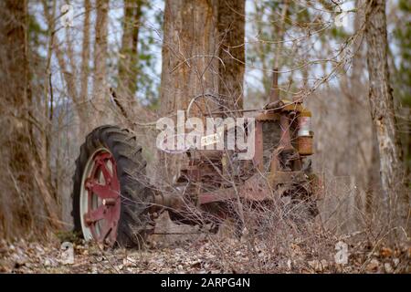 Un tracteur ancien, rouge 1938 ou 1939 International Farmalll modèle F-14 à gaz dans une zone boisée le long de Callahan Creek, Troy, Montana. Fabricant: Dans Banque D'Images