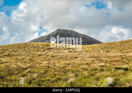 En regardant vers le Mont Errigal, l'une des montagnes les plus emblématiques de l'Irlande, de rocheux de granit Donegal principale près de Dunlewy, comté de Donegal, Irlande Banque D'Images