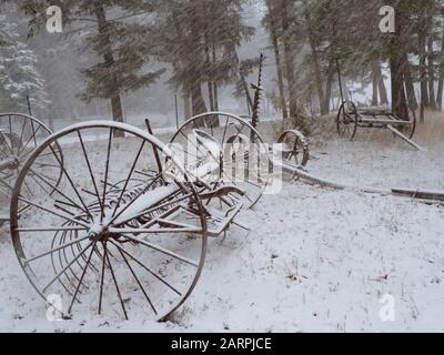 Un vieux râteau de foin rouillé et d'autres outils agricoles dans la neige, sur un ranch de cheval, à Valley of the Moon, Rock Creek, Montana Banque D'Images