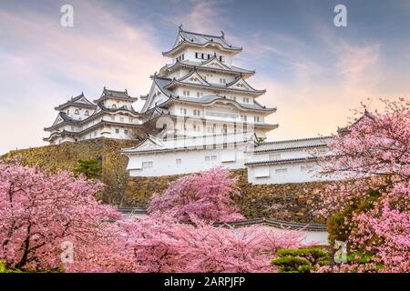 Himeji, Japon au château Himeji au printemps avec des cerisiers en fleurs en pleine floraison. Banque D'Images