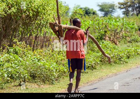 Fermier éthiopien souriant portant une charrue en bois sur son épaule sur le côté de la route, Shashamane, Ethiopie. Banque D'Images