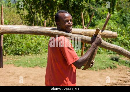 Fermier éthiopien souriant portant une charrue en bois sur son épaule sur le côté de la route, Shashamane, Ethiopie. Banque D'Images