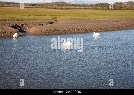 Le canal de la rivière Marais Eee porte de sable près du village de Flookborough la rive de la baie de Morecambe une journée d'hiver lacs du Sud Cumbria Banque D'Images