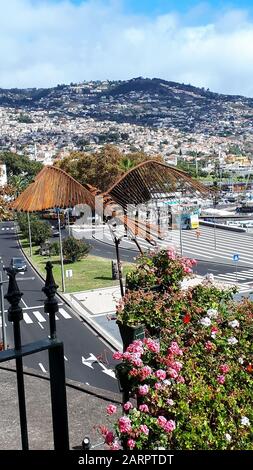 Le port où les ferries et les paquebots de croisière Berth à Funchal Madeira Portugal, Tall Ships s'amarrer ici, ainsi que de petits bateaux de plaisance et de pêche Banque D'Images