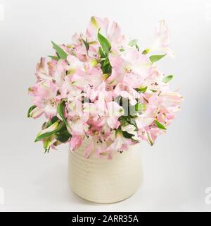 Un vase crémeux de fleurs d'Alstromeria rose clair. Banque D'Images