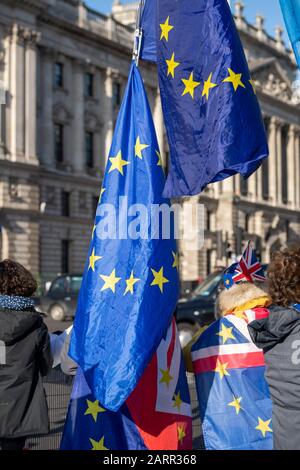 Londres, Royaume-Uni. 29 janvier 2020. Les manifestants anti-Brexit à l'extérieur du Palais de Westminster crédit : Ian Davidson/Alay Live News Banque D'Images