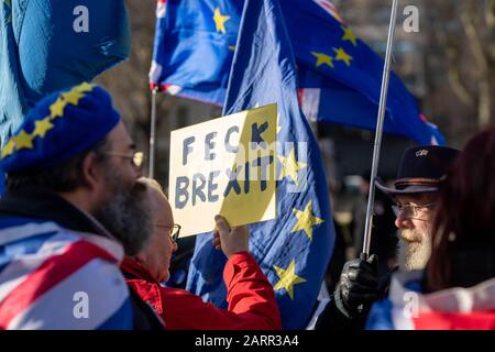 Londres, Royaume-Uni. 29 janvier 2020. Les manifestants anti-Brexit à l'extérieur du Palais de Westminster crédit : Ian Davidson/Alay Live News Banque D'Images