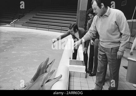 Équipe de l'Atletico Madrid au Dolphinarium à Zandvoort nourrir les dauphins Date: 27 avril 1971 lieu: Noord-Holland, Zandvoort mots clés: Dauphins, joueurs, sport, football Banque D'Images