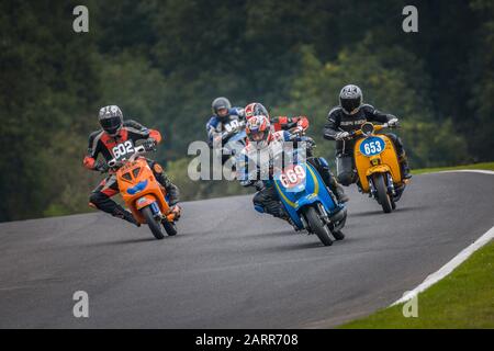 Course de scooter au Cadwell Park. Banque D'Images