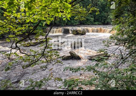 Aygarth Falls, Wensleydale, Yorkshire Dales National Park, Angleterre Banque D'Images